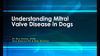 Understanding Mitral Valve Disease in Dogs [upl. by Ayhdiv674]