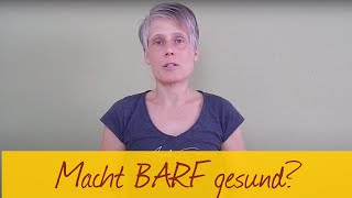 Gesunde Katze  Hilft Barf bei Krankheit [upl. by Allina]