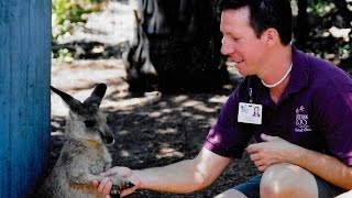 How to Be a Zookeeper  Working with Animals amp Youtube [upl. by Petty]