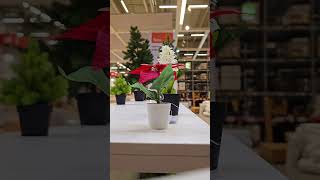 IKEA Biggest Showroom  Christmas 2024 Products 🎅🎄🦌 Part 3 [upl. by Desai]