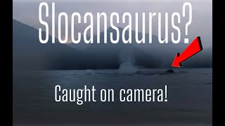 Lake Monster  Slocansaurus caught on camera real [upl. by Enirroc76]