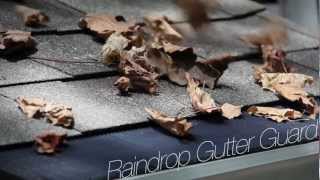 Wind and Water Test for Raindrop Gutter Guard [upl. by Jerad549]