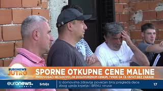 Sporne otkupne cene maline [upl. by Violet]