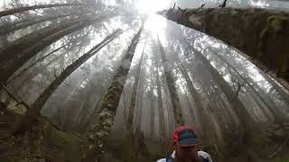 16 Minutes Of accidental Tree Footage insert eye roll  2022 Race amp Life Updates [upl. by Aroc]