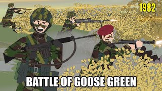 Battle of Goose Green  2 Para against all Odds 28–29th May 1982 [upl. by Aicemat191]