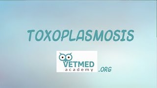 Toxoplasmosis [upl. by Drofxer682]