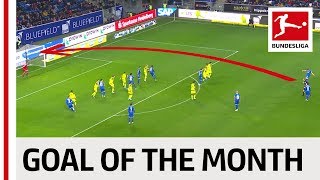 Robert Skov  November 2019s Goal of the Month Winner [upl. by Nodyl]