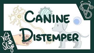 Canine Distemper  cause pathophysiology clinical signs diagnosis treatment prevention [upl. by Madox]