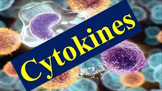 Cytokines and Chemokines [upl. by Chadwick417]