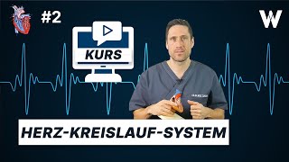 2 – Herz Kreislauf System [upl. by Claudine746]