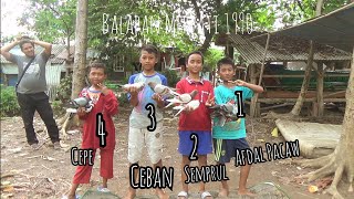 Lomba Balapan Merpati Episode 9 [upl. by Eded]