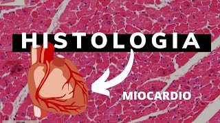 Histologia del Músculo Cardiaco [upl. by Haerb]