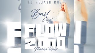 Bad Gyal  Flow 2000 Mambo Remix [upl. by Adniroc]