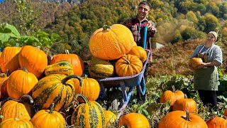 Oriental Dishes from the Autumn Harvest 40 Minutes of Privacy with Nature [upl. by Noemad]