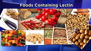 Lectins The New Diet Enemy [upl. by Anhpad]