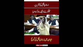 Zartaj Gul Wazir DGK Important Speech  National Assembly  Imran Khan  PTI  Global Times Pakistan [upl. by Claudie]