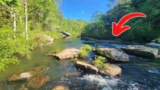 Ultralight Fishing Tennessees National Scenic River Obed [upl. by Arlyn584]