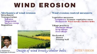 Wind erosion and its control measures [upl. by Engel]