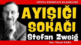 quotAyışığı Sokağıquot Stefan Zweig Dünya Edebiyatından Sesli Kitaplar [upl. by Oicnedurp]