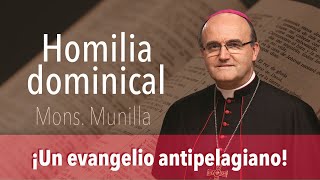 ¡Un evangelio antipelagiano Domingo 11º Tiempo Ordinario [upl. by Ettennek]