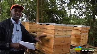 Bee Farming In Nyeri County [upl. by Ainniz]