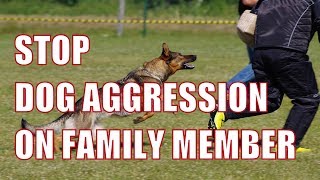 How to Stop Dog Aggression Towards Family Members  Make a Dog Less Aggressive Towards People [upl. by Sower]