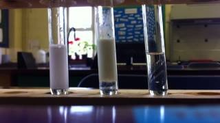 Halide ions and silver nitrate [upl. by Lienet]