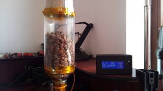 Fluid Bed Roaster  PID Roastuino  Test 4  Success [upl. by Laurena]