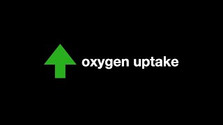 Oxygen Uptake Training  from 100 to 500 O2 Tables [upl. by Rodie809]