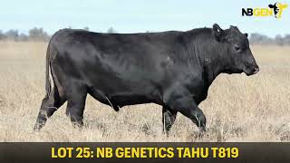 LOT 25 NB GENETICS TAHU T819 [upl. by Katusha]