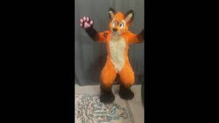 Vozzy the Fox [upl. by Lavern]