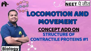 Locomotion amp Movement Class 11 Biology NEET  NCERT Chapter 17 Structure of Contractile Proteins 1 [upl. by Bianca]