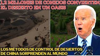 China Cría 12 Millones de Conejos en el Desierto y lo Convierte en un Oasis Sorprendiendo al Mundo [upl. by Nnylarac]