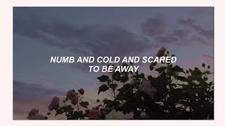 shinigami 💤  nobody lyrics ♡ [upl. by Eurydice]