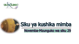 Kushika mimba Novemba 2024 Mzunguko wa siku 29 [upl. by Aihsenak]