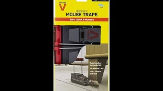 Best mouse trap I’ve found MouseTrap RatTrap Rodent trap [upl. by Nej]