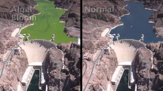 Lake Mead Clear and Vital [upl. by Yerdua]