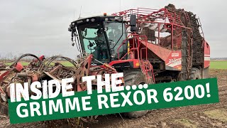 SUGARBEET LIFTING PART 2 PLUS I DRIVE THE GRIMME REXOR 6200 [upl. by Airrat215]