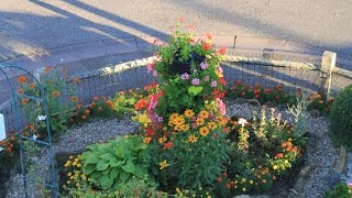 Promenade matinale au jardin [upl. by Harland]