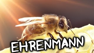 Bienen die Ehrenmänner [upl. by Rossie]