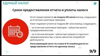 1 октября 2024 г Единый налог квартальный отчёт [upl. by Hammerskjold]