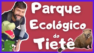 Parque Ecológico do Tietê Passeio Completo Tudo o que você precisa saber [upl. by Cozza]