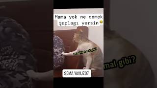 ŞAPLAGI YERSİN 👋🤣🤣 [upl. by Tamma549]