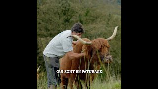 Agroforesterie au Pays Basque  témoignages de Romain Mathieu paysans Bio [upl. by Meijer]