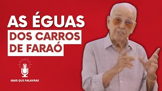 AS Ã‰GUAS DOS CARROS DE FARAÃ“  Pr Gedelti Gueiros [upl. by Ruby]