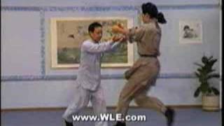 Sun Style Tai Chi Chuan Applications [upl. by Schoenberg]