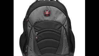 Swiss Gear Synergy Laptop Backpack Product Review [upl. by Nywles]