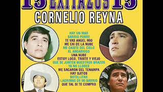 Me Sacaron Del Tenampa Cornelio Reyna [upl. by Unhsiv]