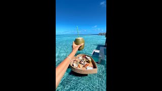 Floating breakfast in the Maldives Dreams do come true [upl. by Isak]