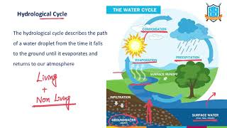 What is Hydrological Cycle   Hydrological Cycle అంటే ఏమిటి  La Excellence [upl. by Enirolf]